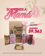 PROMO DÍA DE LA MADRE